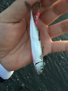 201606022