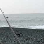 ヒラメルアーのおススメ3種 まずはこれだけ使い倒せ!