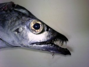 201207166