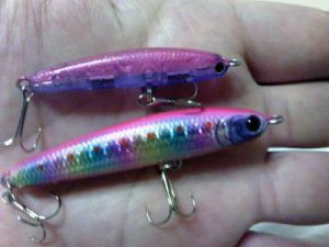 201501024