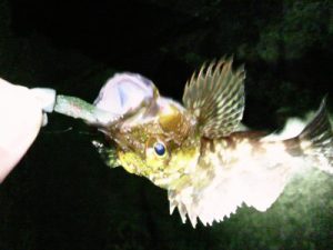 201505181