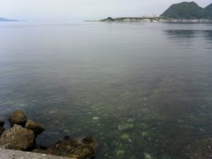 201505224
