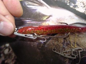 201511164